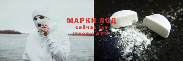 крисы Мегион