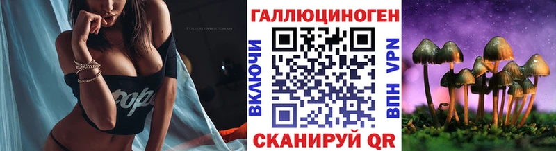 что такое   мориарти официальный сайт  Галлюциногенные грибы Cubensis  Горбатов 